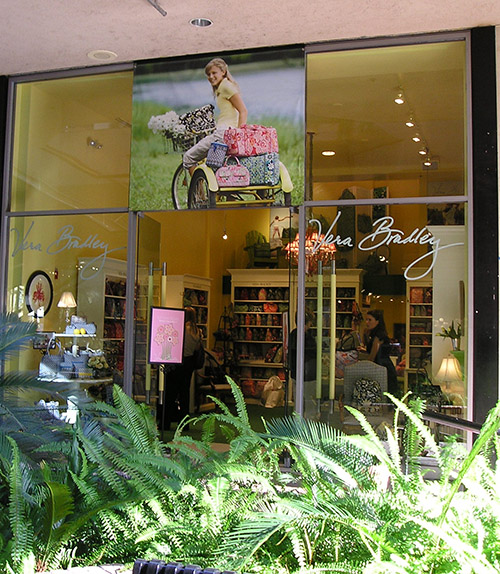 Vinyl Graphics